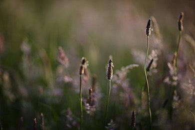 人气游戏《胜利女神》官方公布新角色 将于孤独的幸存者事件登场